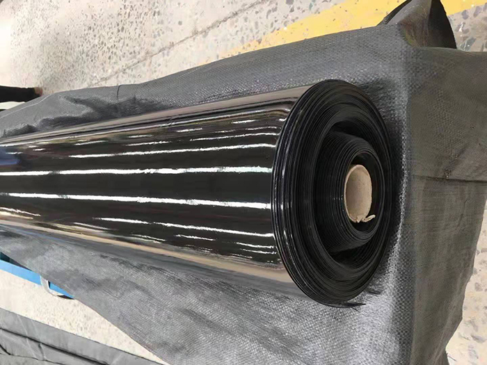 1648084874330763.jpg 192ac8653fd49c7c0ac290293f65796.jpg