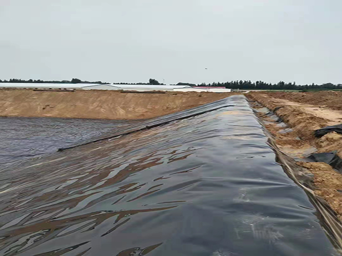 復合土工膜一布一膜有哪些應用