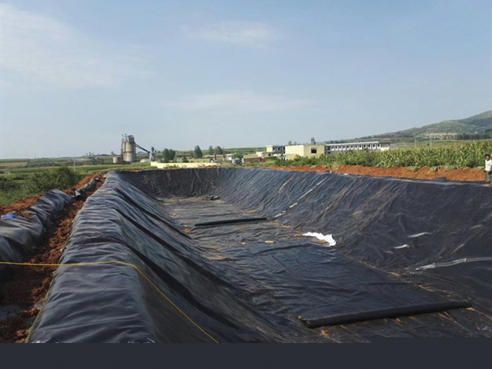 1702364254511739.jpg 72.jpg