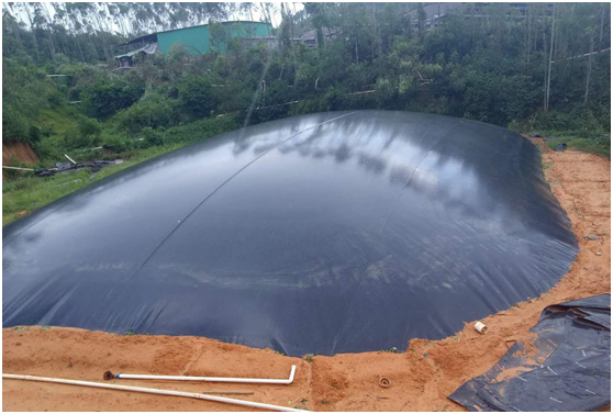 1702364502652579.jpg 沼氣池.jpg