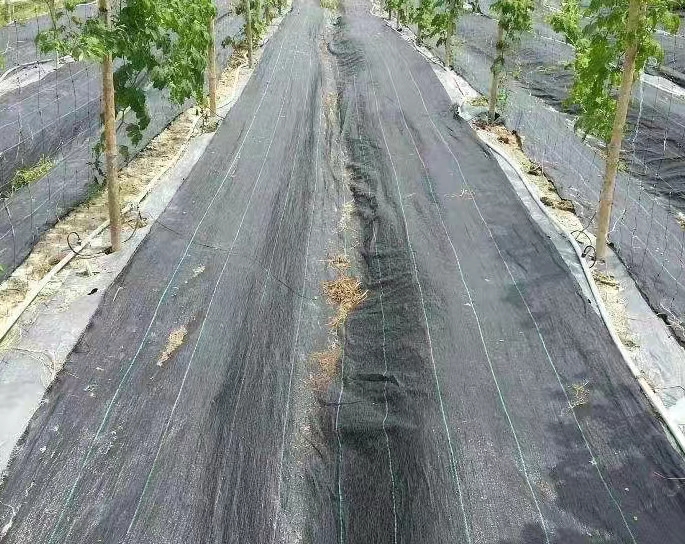 防草布的用途及效果防草布又稱之為“園林地布”、“雜草抑 制席”、“抑草布”,是一種縱橫編織的塑料編織布,透氣性好、滲水快、防水 治雜草生長的一種園藝和農(nóng)業(yè)用地面防草布。可以有 效抑制各種雜草的生長,由于這種地面防草布的透氣性好,滲水快,使得植物根部的吸收水分能力得到提高,有益于植物的生長,防止根部腐爛,單相線標(biāo)志的設(shè)置,使的在溫室內(nèi)或室外擺放花盆或安排栽培基質(zhì)時,可根據(jù)標(biāo)志線來準(zhǔn)確進行安排,提高勞