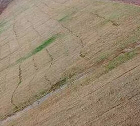 椰絲護(hù)坡生態(tài)草毯