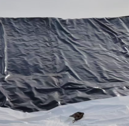 長絲和短絲的區別有哪些.